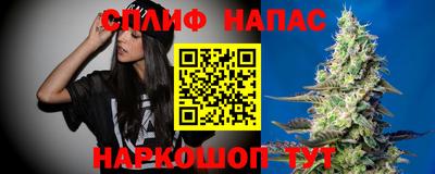 сатива Кулебаки