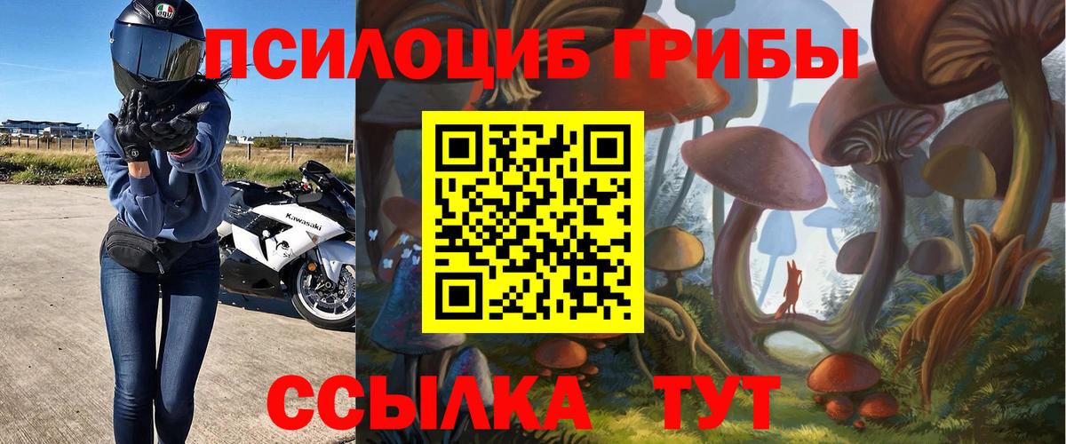 Псилоцибиновые грибы прущие грибы  Вход с VPN  Чита  Псилоцибиновые грибы GOLDEN TEACHER 
