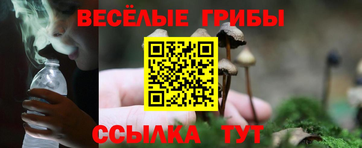 Псилоцибиновые грибы GOLDEN TEACHER Чита